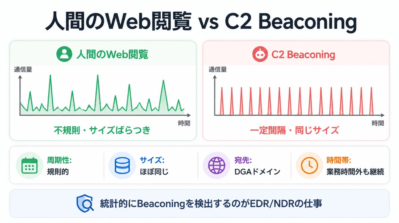 人間のWeb閲覧は不規則だがC2 Beaconingは一定間隔の規則的な通信パターンになることを比較した図解